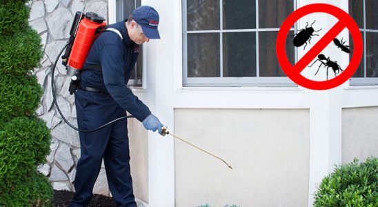 Şirinyer Böcek ve Haşere İlaçlama böcek ilaçlama ve haşere kontrolü — ilaclama-tr.com